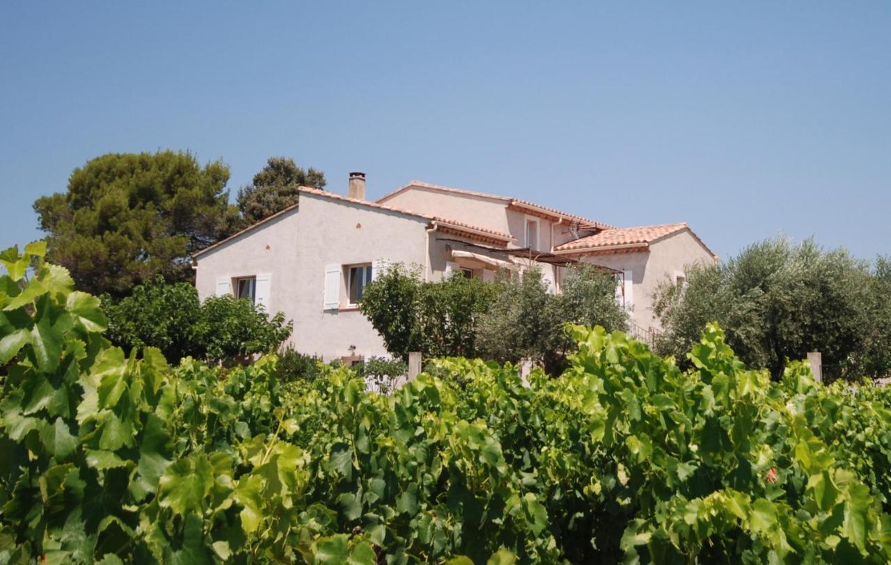 Chambre D'Hote Le Grand Barsan Vaison-la-Romaine Exterior foto